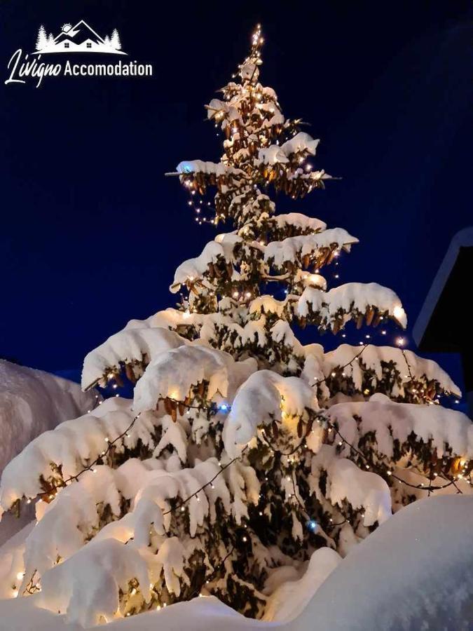 Alpen Royal By Livigno Accomodation Εξωτερικό φωτογραφία